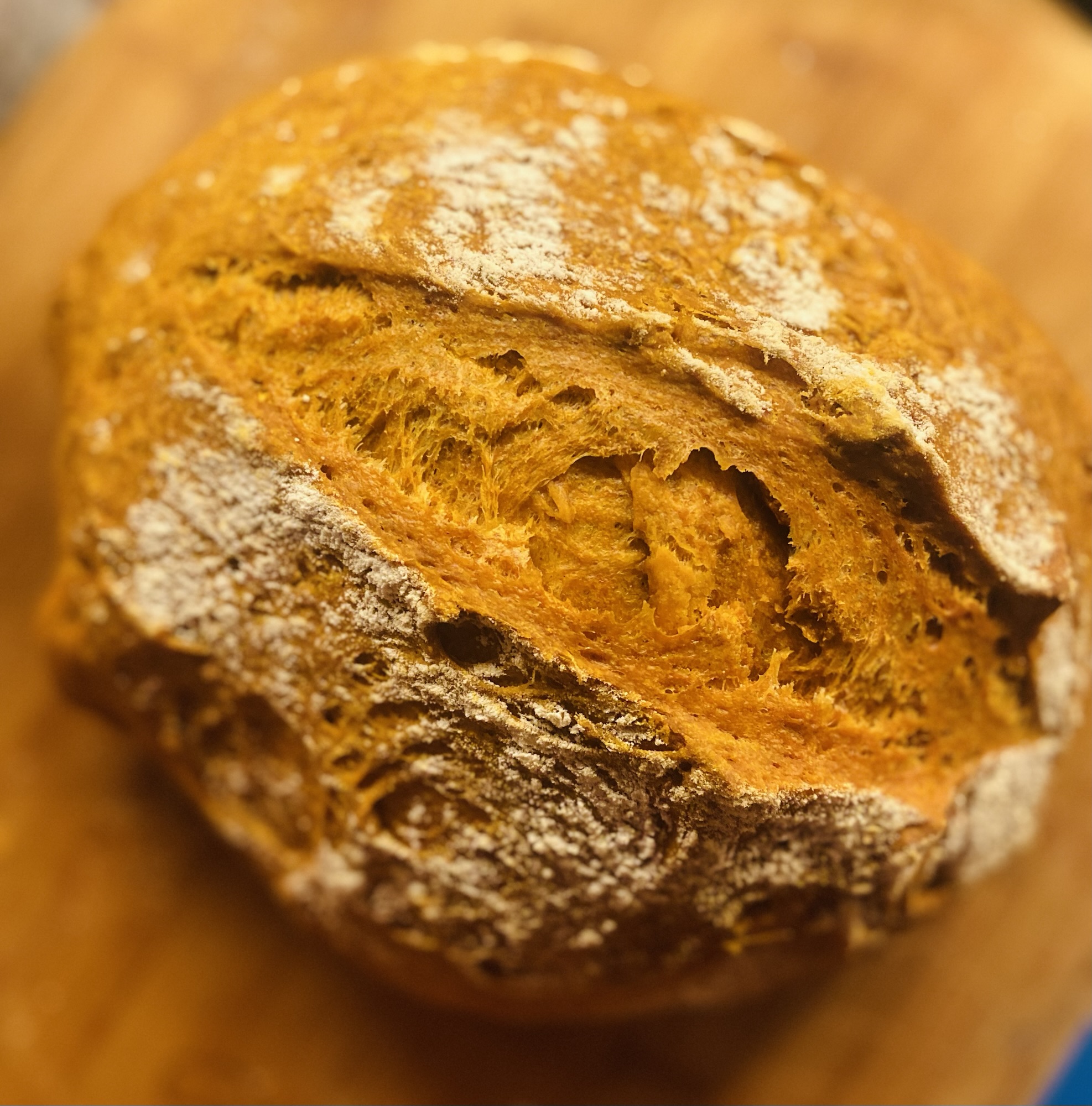 Paprika No-Knead Dough